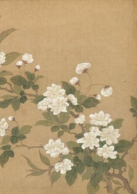 荆棘王妃(剧情肉,1V1)