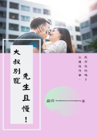 大叔别宠!先生且慢!