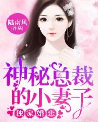 独家婚恋:神秘总裁的小妻子