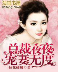 总裁夜夜宠妻无度