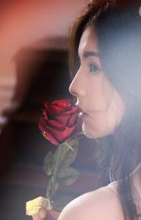 只求不曾遇见你