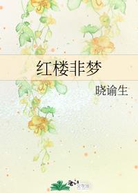 红楼非梦