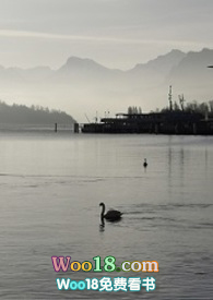 BTS防彈|同人文合集(ALL珍)