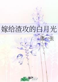 嫁给渣攻的白月光