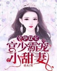 幸孕双宝:宫少霸宠小甜妻