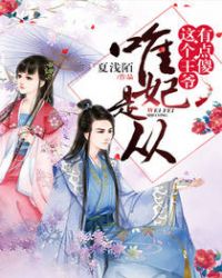 唯妃是从:这个王爷有点傻