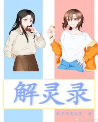 解灵录