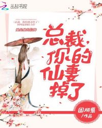 总裁:你的仙妻掉了