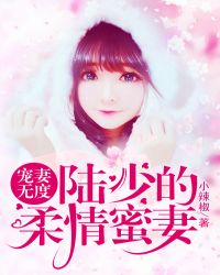 宠妻无度:陆少的柔情蜜妻
