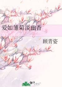 爱如雏菊淡幽香