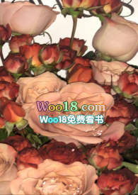 她比玫瑰美丽(NPH)