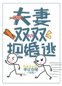 夫妻双双把婚逃